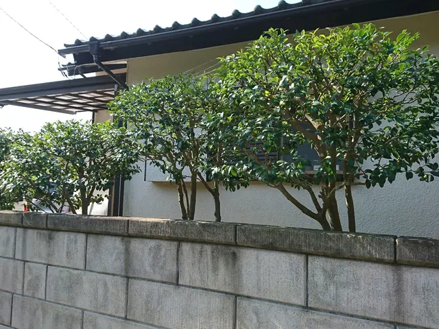 【年中無休！】土日祝もご予約大歓迎★業歴13年！実績あり★損害保険加入★サービスの画像