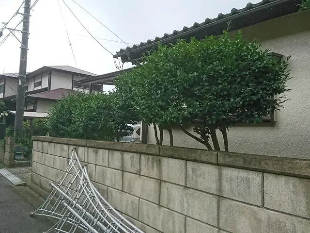 【年中無休！】土日祝もご予約大歓迎★業歴13年！実績あり★損害保険加入★サービスの画像