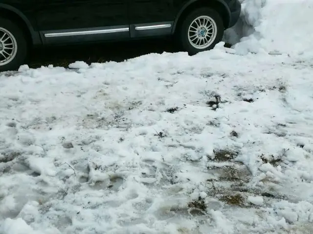 危険な雪下ろしもプロにおまかせ！領北ならどこへでも伺います！サービスの画像