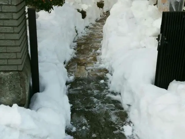 危険な雪下ろしもプロにおまかせ！領北ならどこへでも伺います！サービスの画像