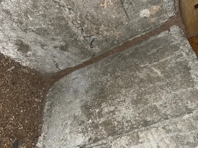 シロアリ調査無料！地域最大手出身のベテラン駆除士が伺います！サービスの画像