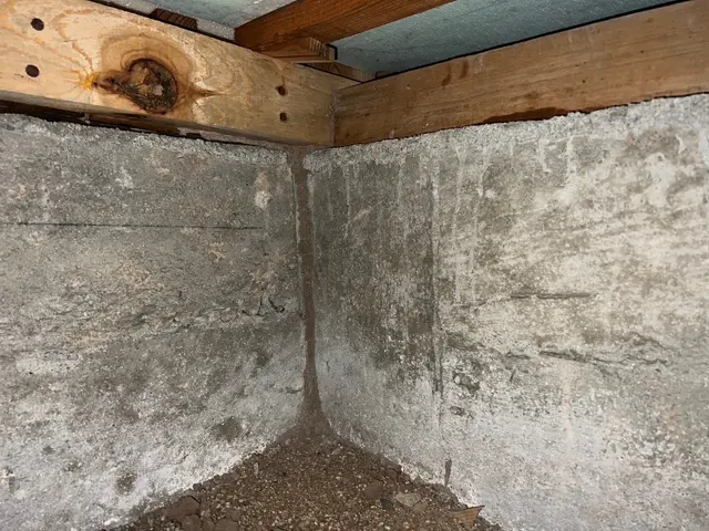 シロアリ調査無料！地域最大手出身のベテラン駆除士が伺います！サービスの画像