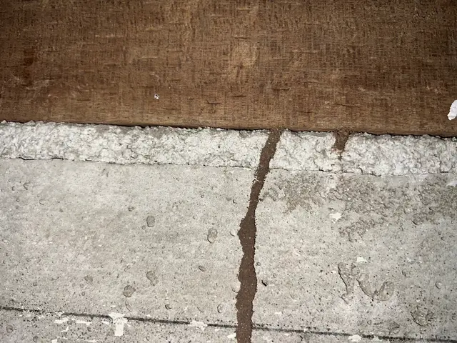 シロアリ調査無料！地域最大手出身のベテラン駆除士が伺います！サービスの画像