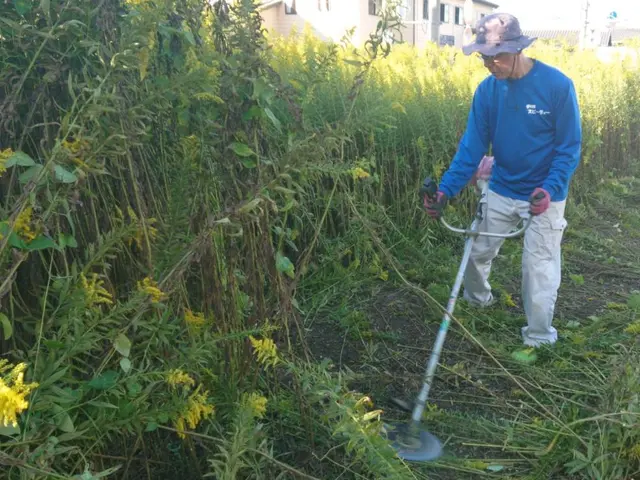 ☆個人の方や企業からのご依頼、実績多数☆お庭や空地のお手入れはお任せ！サービスの画像