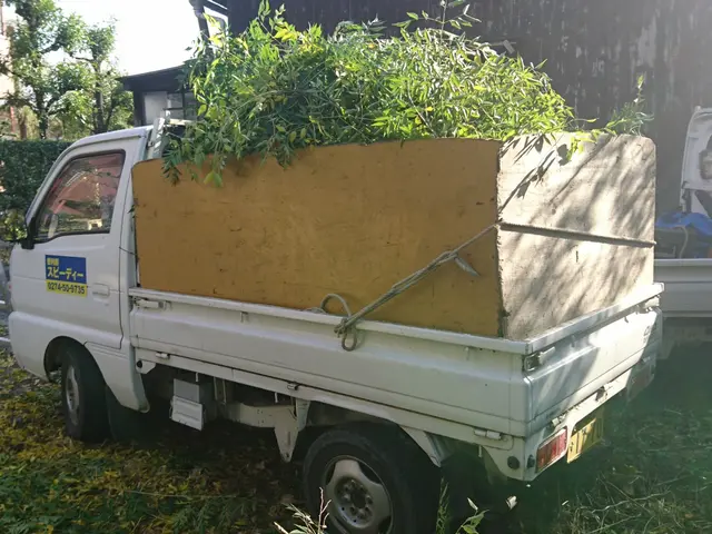 ☆個人の方や企業からのご依頼、実績多数☆お庭や空地のお手入れはお任せ！サービスの画像