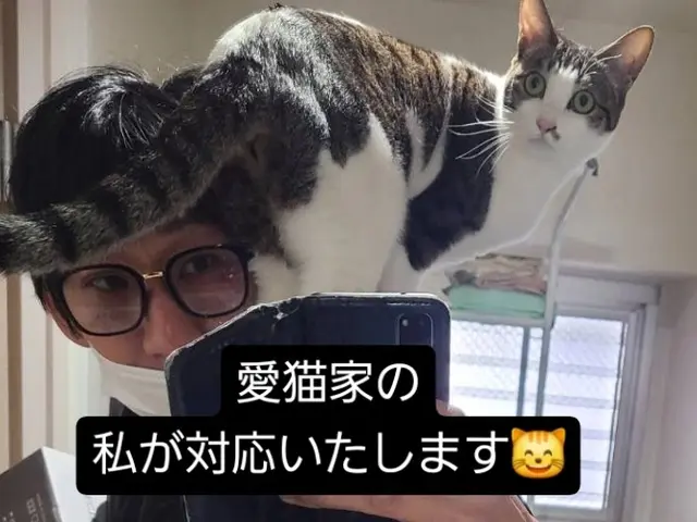 面倒な荷造り・荷解きお手伝い致します！サービスの画像