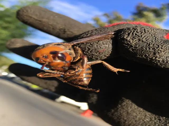 【業界歴10年以上の経験実績】地域密着◎営業時間外のご予約も相談受付中！サービスの画像