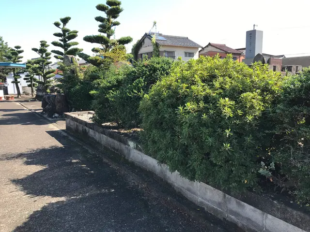 ★丁寧な作業、親身になって剪定します！立ち合い無しでも空き家でも作業を致します。サービスの画像