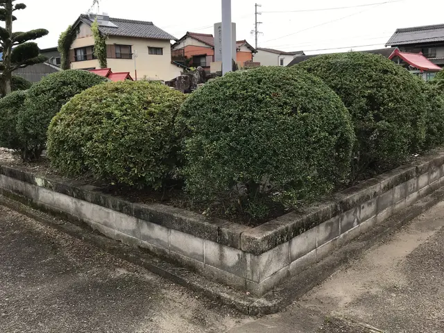 ★丁寧な作業、親身になって剪定します！立ち合い無しでも空き家でも作業を致します。サービスの画像