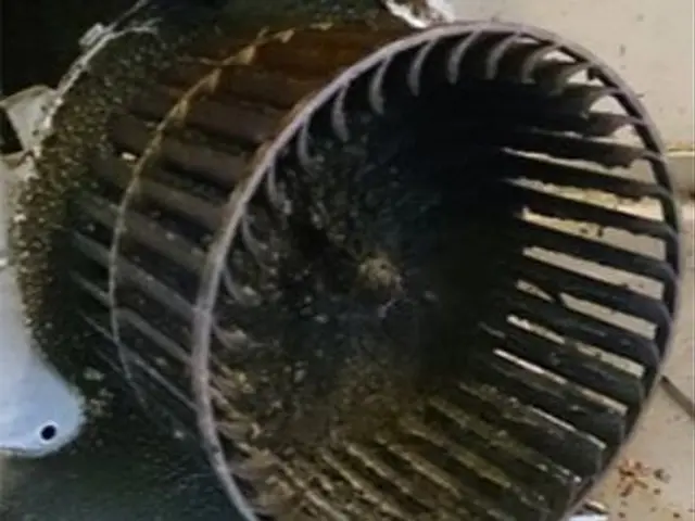 お得な水回り２点セット【忙しくて時間のないあなたへ】サービスの画像