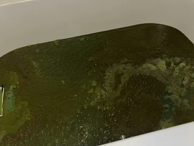 追い炊き洗浄！配管奥からごっそりと！サービスの画像