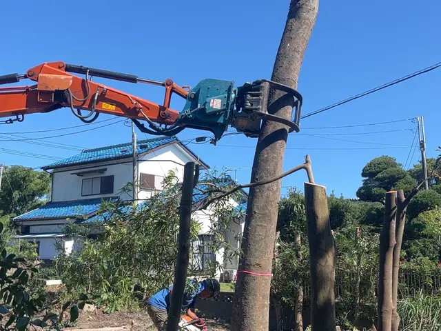 【年中無休】木の伐採、伐倒枝払いキコリ伐採◆女性スタッフ同行OKサービスの画像