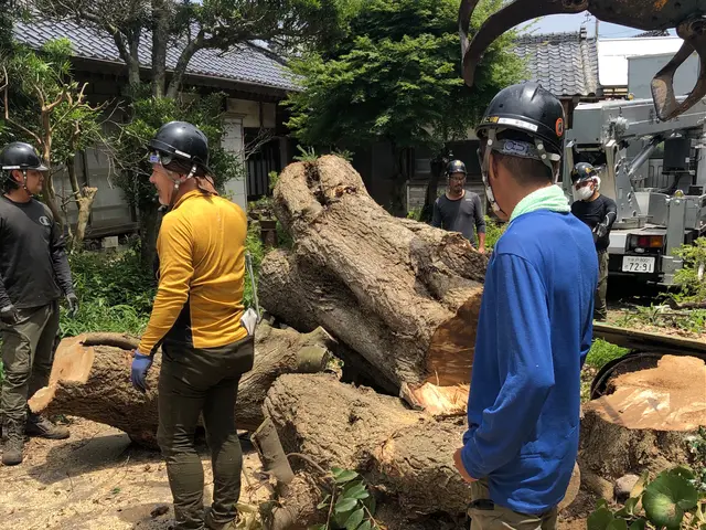 【年中無休】木の伐採、伐倒枝払いキコリ伐採◆女性スタッフ同行OKサービスの画像