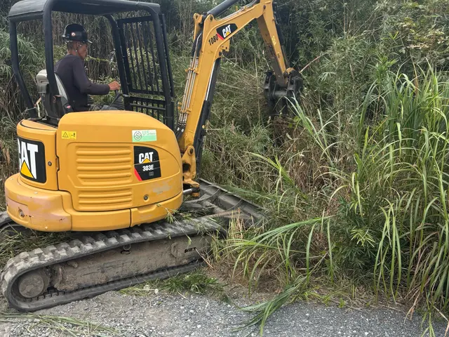 【年中無休】木の伐採、伐倒枝払いキコリ伐採◆女性スタッフ同行OKサービスの画像
