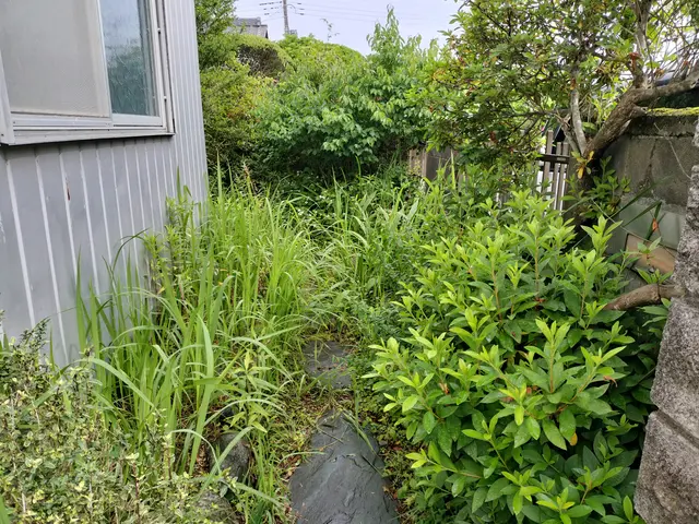 【草むしり】 お役に立てるよう頑張ります！《女性スタッフ活躍中！》サービスの画像