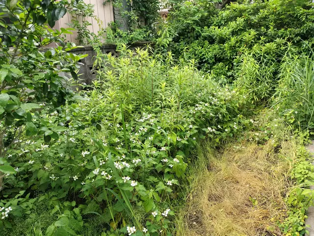 【草むしり】 お役に立てるよう頑張ります！《女性スタッフ活躍中！》サービスの画像