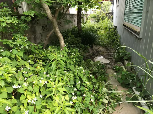 【草むしり】 お役に立てるよう頑張ります！《女性スタッフ活躍中！》サービスの画像