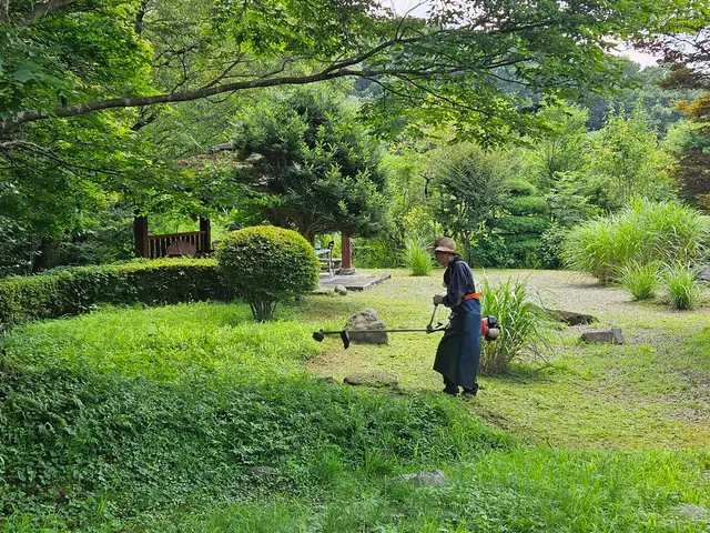 【那須発】草刈りおまかせください！クレジットカード・PayPayでの当日支払OKサービスの画像