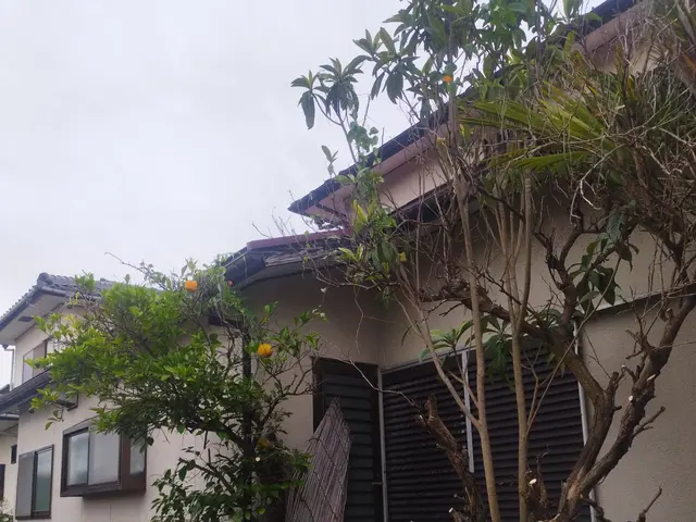 【山口県対応】下関、岩国にも対応致します　！隣の家からの苦情対応致します。サービスの画像