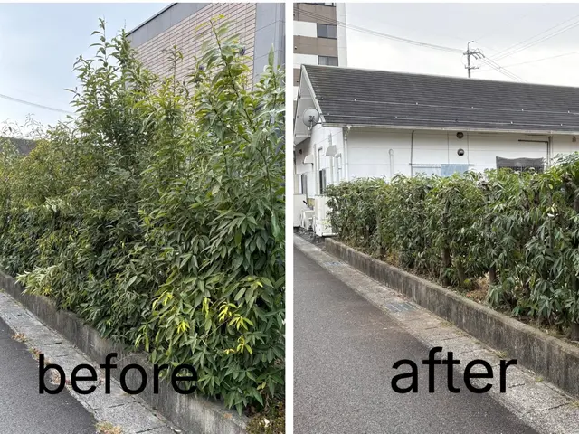 【岐阜羽島の植木屋】初めての方にも丁寧にご案内！地域密着で安心！サービスの画像