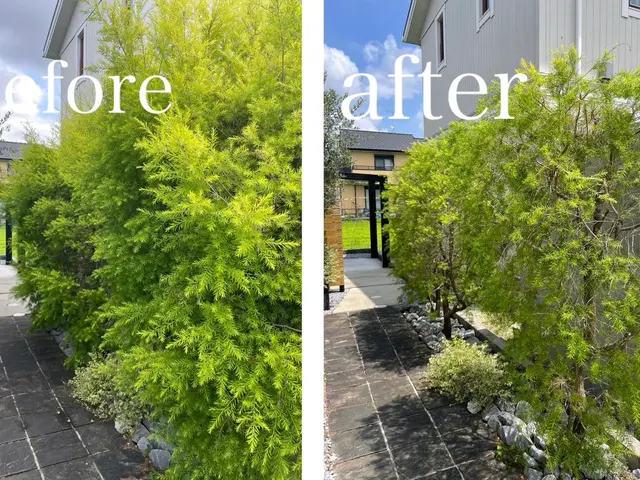 【岐阜羽島の植木屋】初めての方にも丁寧にご案内！地域密着で安心！サービスの画像