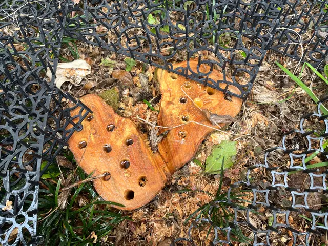 【年中無休で対応◎】お客様のお困りごとを解決！ご要望にお応えします！サービスの画像