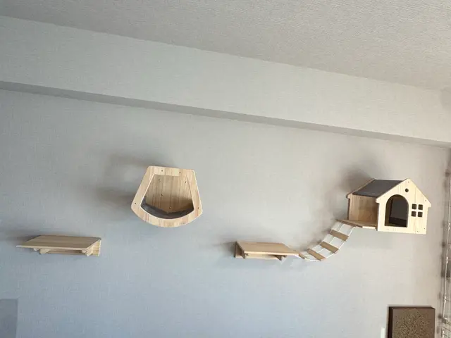 2025年[金賞]店舗！できる限り何でも壁掛けいたします。ブログをご覧下さい！サービスの画像