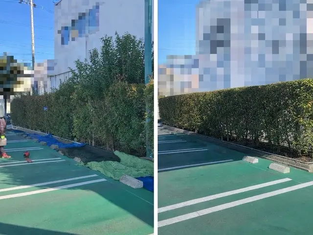 庭縁-NIWAEN-｜剪定・植栽・庭リフォーム対応｜丁寧仕上げ・清掃徹底サービスの画像