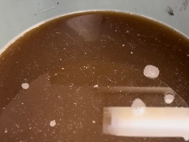 年末の大掃除のお手伝い◡̈レンジフードはお任せ下さい！主婦さんママさんの味方♡サービスの画像