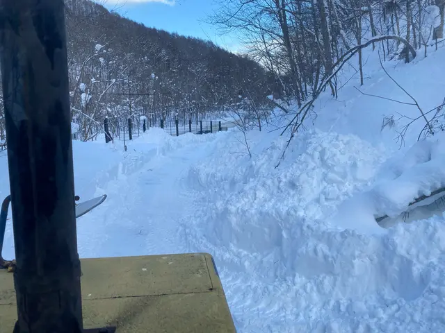企業向け除排雪サービスの画像