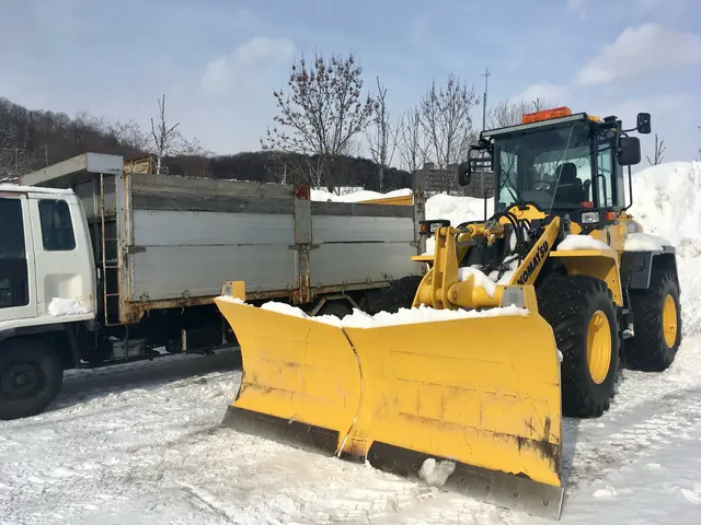 企業向け除排雪サービスの画像