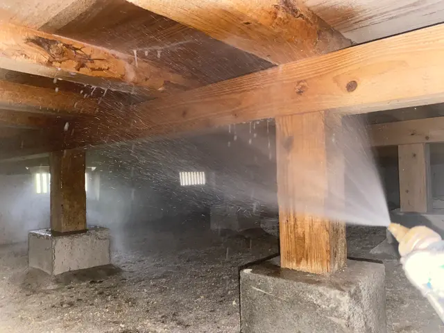 木材の腐れ、シロアリ防止できる予防工事。床下清掃サービス。知識、技術、安心を提供サービスの画像