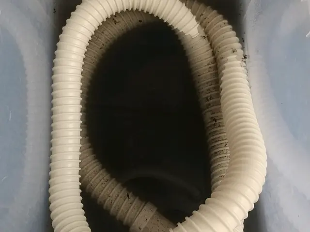 口コミ★高評価★作業内容に自信あり！５児のパパママがお伺いします！サービスの画像