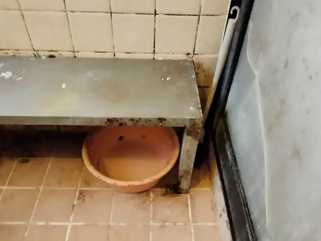 【祝☆新規出店】話しやすい人柄◉損害保険加入済み☆接客業出身★非喫煙者が対応◉サービスの画像