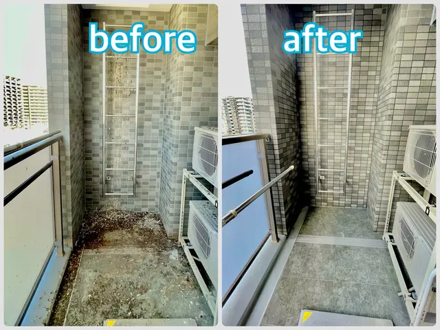 【ハウスクリーニング・害虫・鳩駆除のプロが対応!!】ベランダのお悩み丸ごと解決！サービスの画像