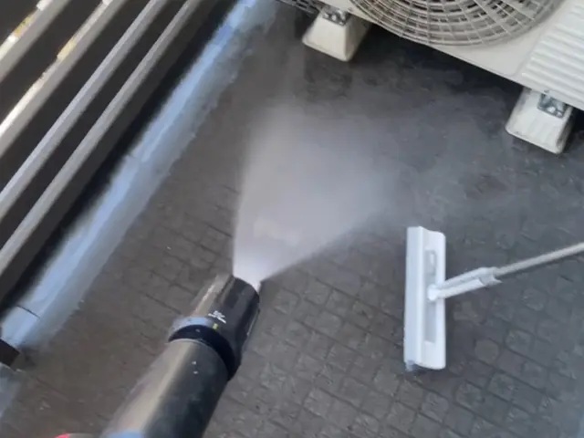 【ハウスクリーニング・害虫・鳩駆除のプロが対応!!】ベランダのお悩み丸ごと解決！サービスの画像