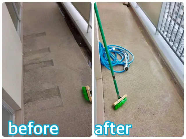 【ハウスクリーニング・害虫・鳩駆除のプロが対応!!】ベランダのお悩み丸ごと解決！サービスの画像