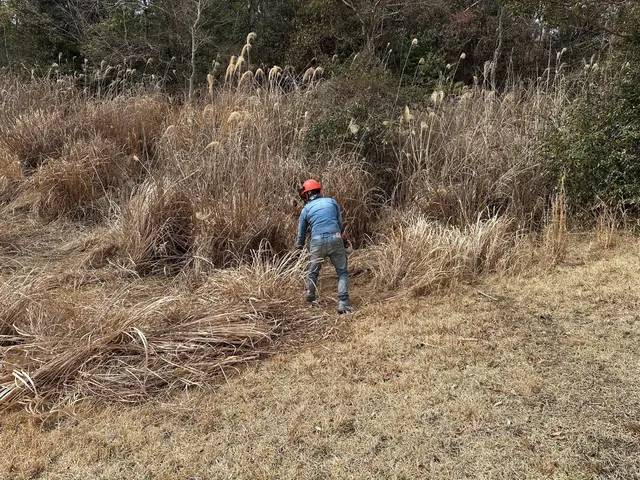 草刈り（機械）サービスの画像