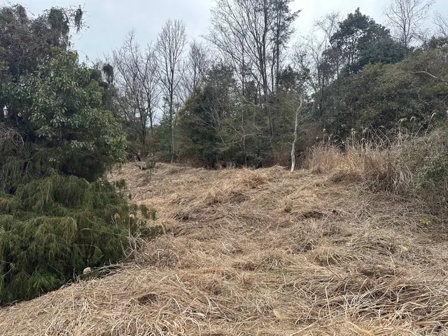 草刈り（機械）サービスの画像