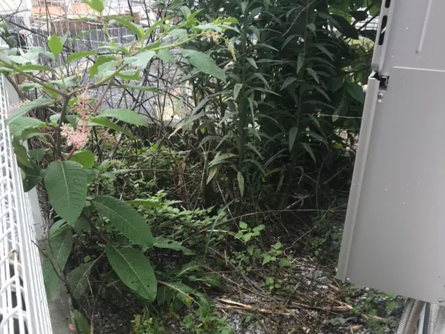 【15年の実績】作業外注一切なし◎￥10.000円(税別)から承っております。サービスの画像