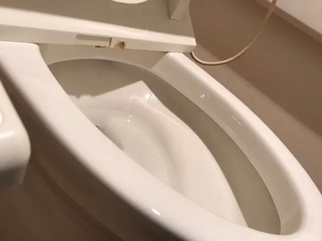 【くらま歴9年の本物です♡】金運・健康運アップ♪在宅専門会社による匠クリーニングサービスの画像