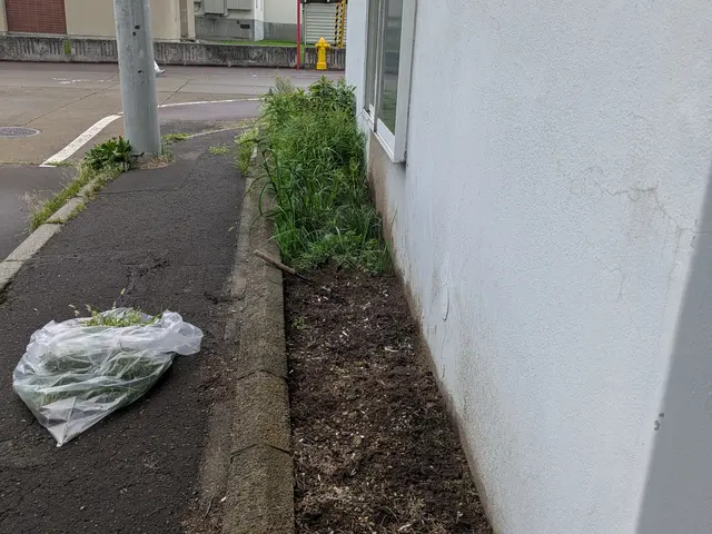 豊富な経験と知識で安心！仕上がり重視で丁寧に作業いたします！サービスの画像