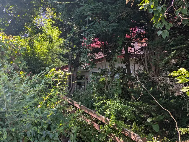 豊富な経験と知識で安心！仕上がり重視で丁寧に作業いたします！サービスの画像