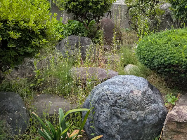 豊富な経験と知識で安心！仕上がり重視で丁寧に作業いたします！サービスの画像