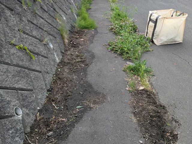 豊富な経験と知識で安心！仕上がり重視で丁寧に作業いたします！サービスの画像