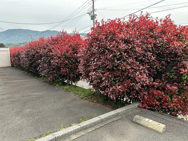 【職人歴15年の実績】予約から作業まで全て自社対応◎迅速丁寧に仕上げますサービスの画像