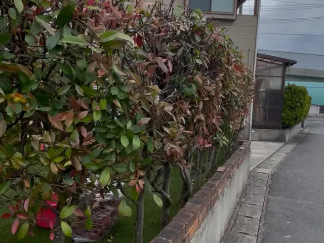 プロの技術でご満足いただけるように心を込めて作業いたしますサービスの画像