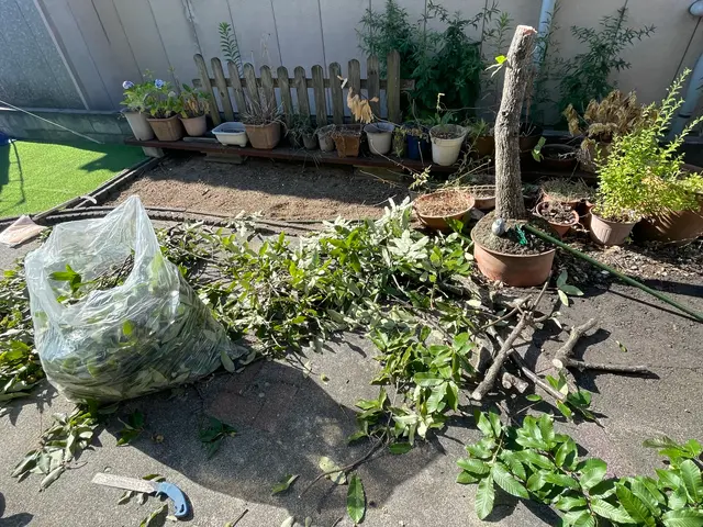 プロの技術でご満足いただけるように心を込めて作業いたしますサービスの画像