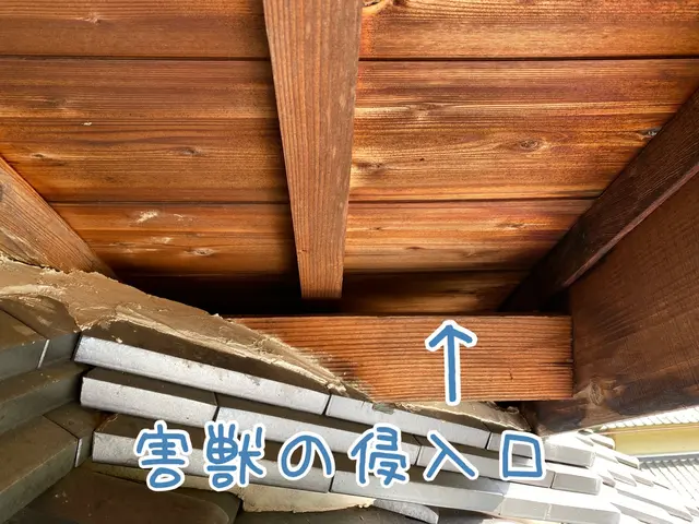 【害獣駆除歴10年！】施工前後の写真有 ◎他社に負けない施工の仕上がり◎サービスの画像