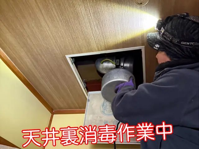 【害獣駆除年末まで空き僅か】1度口コミ覗いてください！調査〜お見積りまで無料！サービスの画像